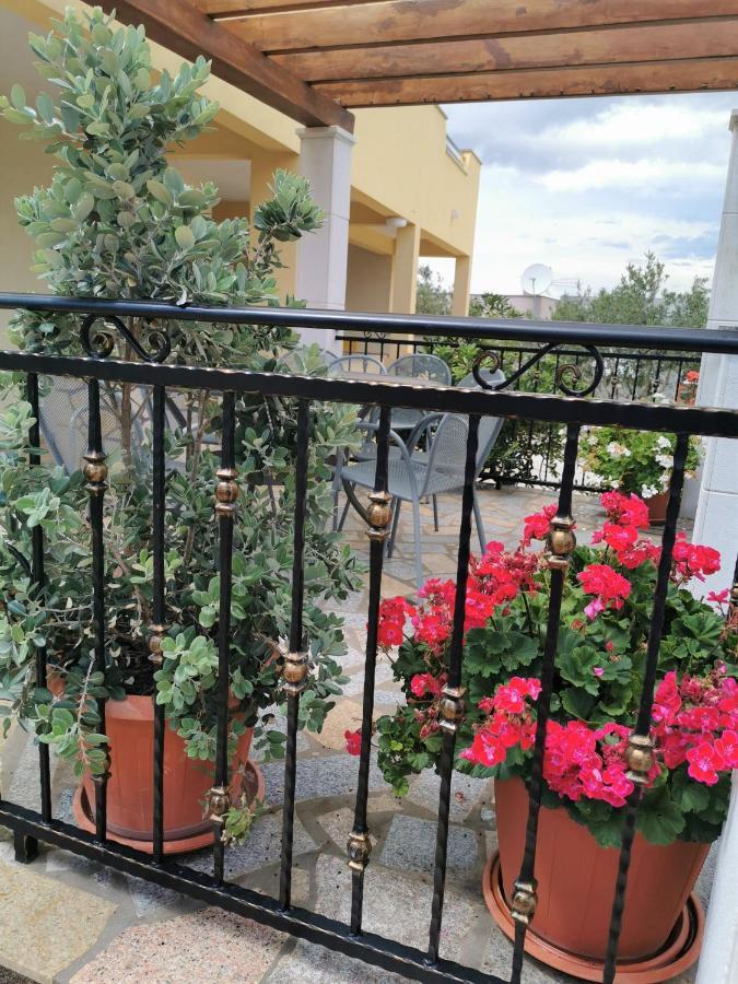 Apartment Ivana *